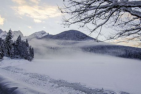 Snowy landscape 